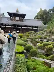 東福禅寺（東福寺）(京都府)