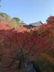 東福禅寺（東福寺）の自然