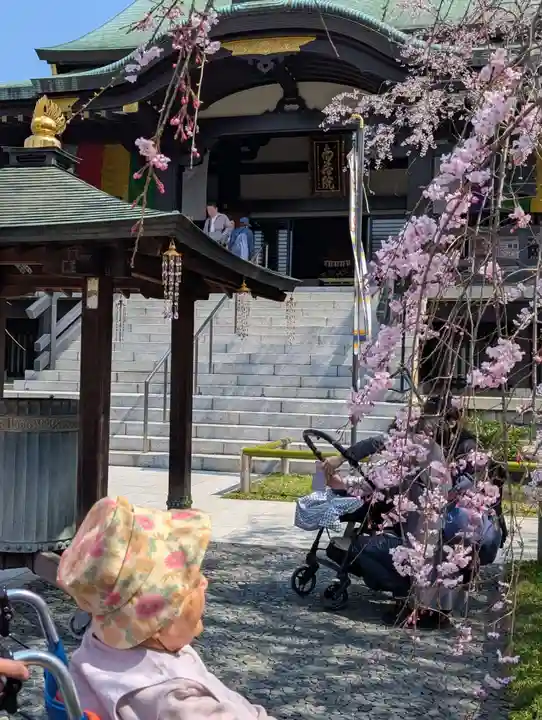 宝勝山 南藏院 蓮光寺(東京都)