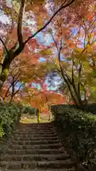 安養寺(京都府)