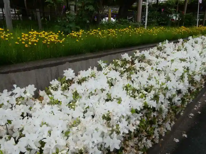曼陀羅寺の庭園