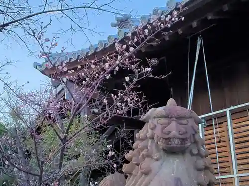 柿本神社の狛犬