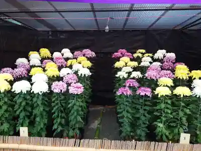 宗像大社(福岡県)