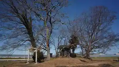 神明神社のその他建物