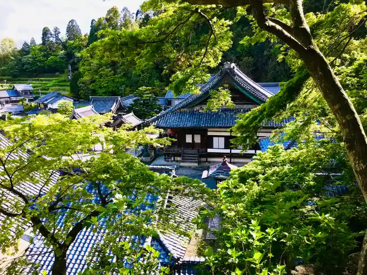柳谷観音 楊谷寺(京都府)