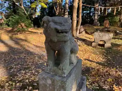 建市神社の狛犬