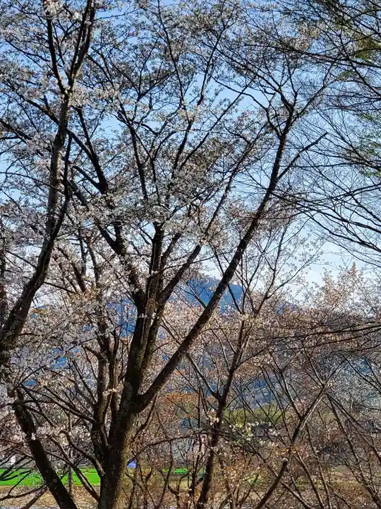 磯部稲村神社の自然