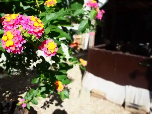 三輪神社の自然