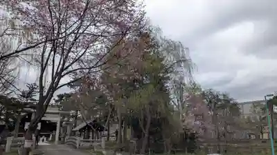 上川神社頓宮の鳥居