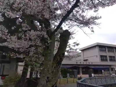 福井神社(福井県)