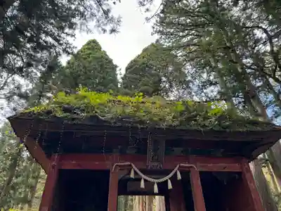 戸隠神社奥社(長野県)