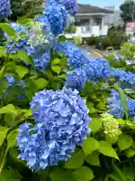 飯綱権現社(東京都)