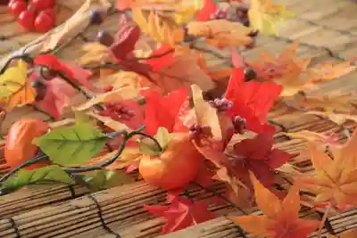 阿邪訶根神社の手水舎
