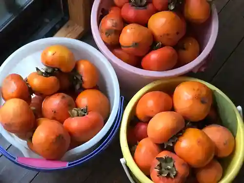 紫雲山 大泉寺(京都府)