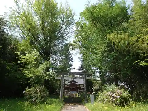 伊射奈美神社の鳥居