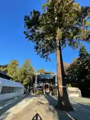 比々多神社(神奈川県)