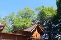 阿久津「田村神社」(郡山市阿久津町)旧社名:伊豆箱根三嶋三社の本殿・本堂