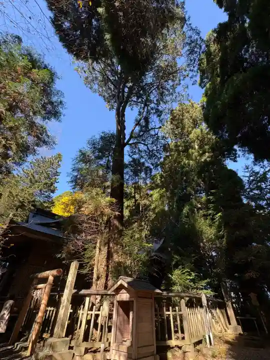 幣立神宮(熊本県)