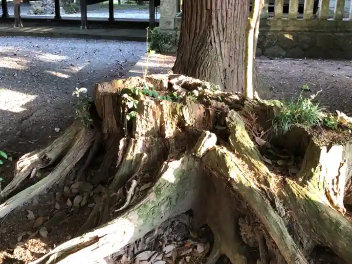 天目一神社(兵庫県)