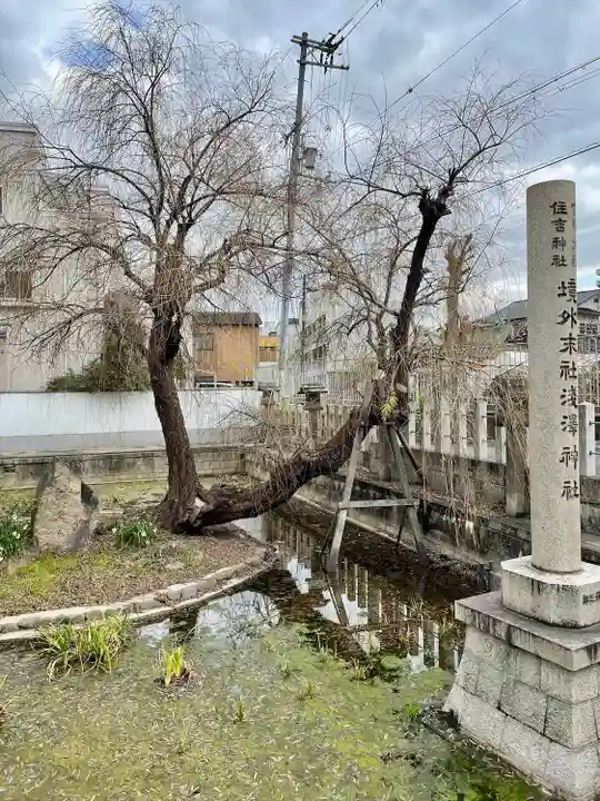 浅澤社(住吉大社境外末社)の自然