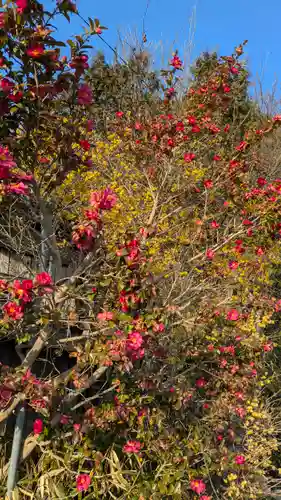 八王子神社(滋賀県)