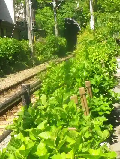 御霊神社の周辺