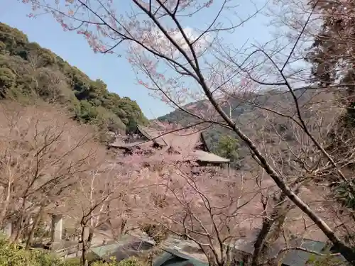 長谷寺(奈良県)