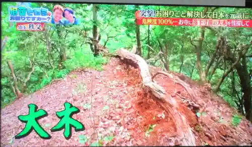 観音院(埼玉県)