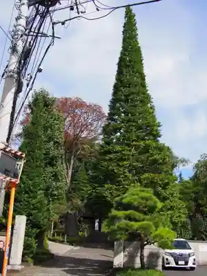 東長谷寺　薬王院のその他建物