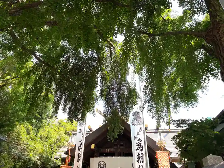 波除神社(波除稲荷神社)(東京都)