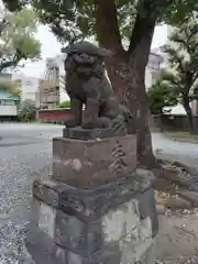 橘樹神社の狛犬