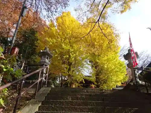 弥生神社の自然