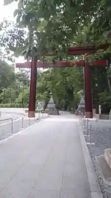 東郷神社の鳥居