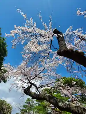 開成山大神宮(福島県)