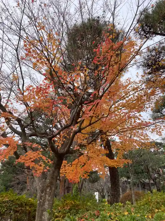 開成山大神宮(福島県)