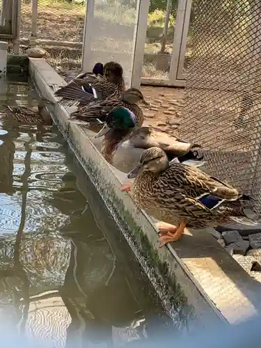 武蔵國八海山神社(埼玉県)