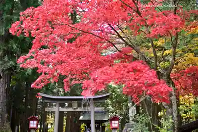 北口本宮冨士浅間神社(山梨県)