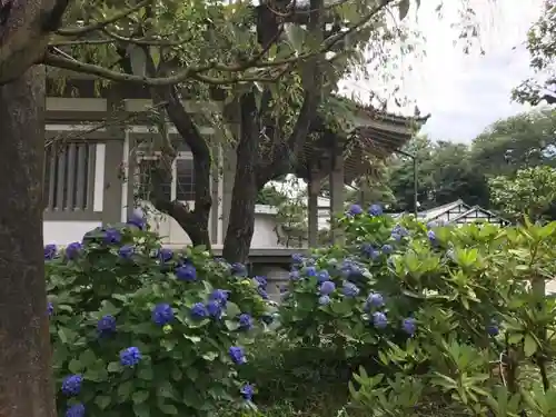 善福寺の建物その他