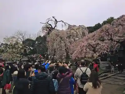 氷室神社のその他建物