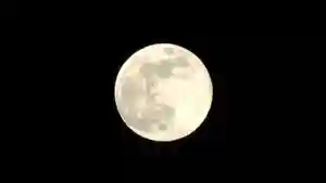 金蛇水神社(宮城県)(2026年01月03日(土) 19時04分30秒投稿)