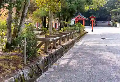 宇佐神宮(大分県)