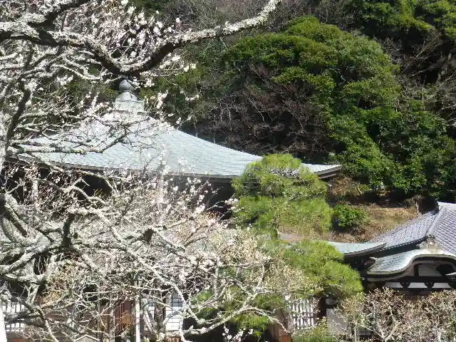 瑞泉寺のその他建物