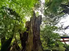 天神社(奈良県)