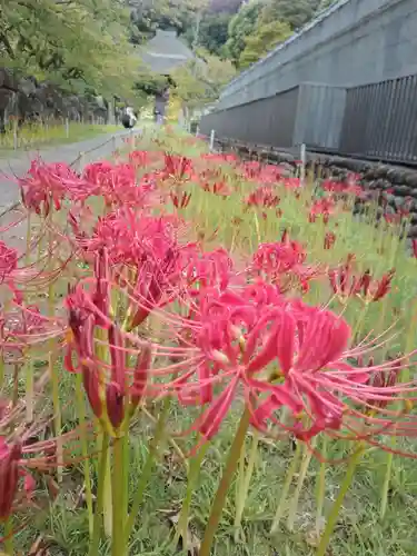 横浜　西方寺の自然
