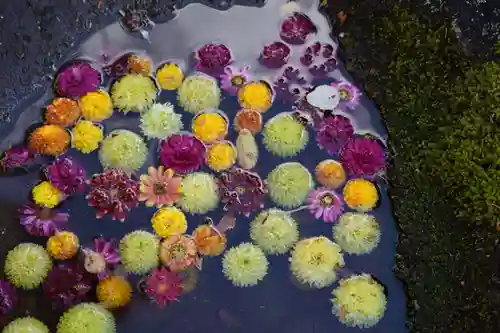 大鏑神社の手水