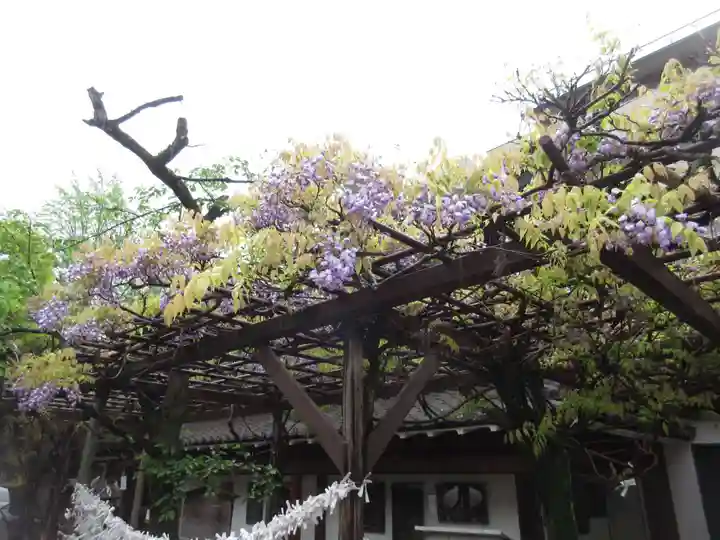 安井金比羅宮(京都府)