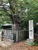 熊野速玉大社の{uncategorized: "未分類", other: "その他", undefined: "問題あり", building: "その他建物", grave: "お墓", sacred_gate: "鳥居", guardian: "狛犬", statue: "像", buddha: "仏像", history: "歴史", nature: "自然", garden: "庭園", animal: "動物", pagoda: "塔", temizu: "手水舎", mountain_gate: "山門・神門", sanctuary: "本殿・本堂", subordinate: "末社・摂社", art: "芸術", scenery: "景色", jizo: "地蔵", ema: "絵馬", goshuin: "御朱印", omikuji: "おみくじ", items: "授与品その他", amulet: "お守り", goshuincho: "御朱印帳", eats: "食事", festival: "お祭り", votive_dance: "神楽", shichigosan: "七五三参", wedding: "結婚式", experience: "体験その他", initially: "初詣", around: "周辺", anti_infection: "感染症対策"}
