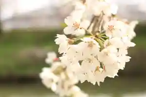 阿邪訶根神社の景色(2021年02月07日(日) 07時08分37秒投稿)