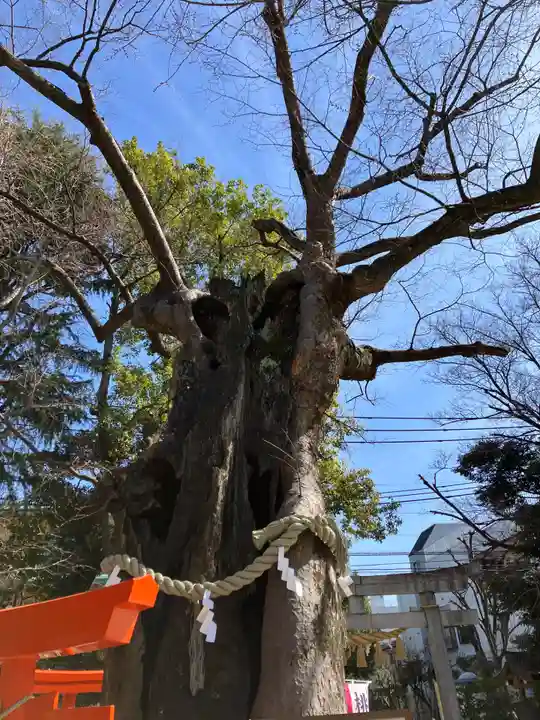 新田神社(東京都)