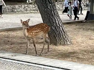 興福寺 南円堂(奈良県)